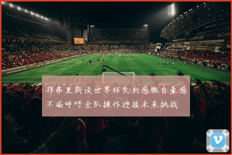 邓弗里斯谈世界杯失利感慨自豪感不减呼吁全队振作迎接未来挑战
